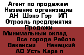 Агент по продажам › Название организации ­ АН "Шэнэ Гэр", ИП › Отрасль предприятия ­ Продажи › Минимальный оклад ­ 45 000 - Все города Работа » Вакансии   . Ненецкий АО,Усть-Кара п.